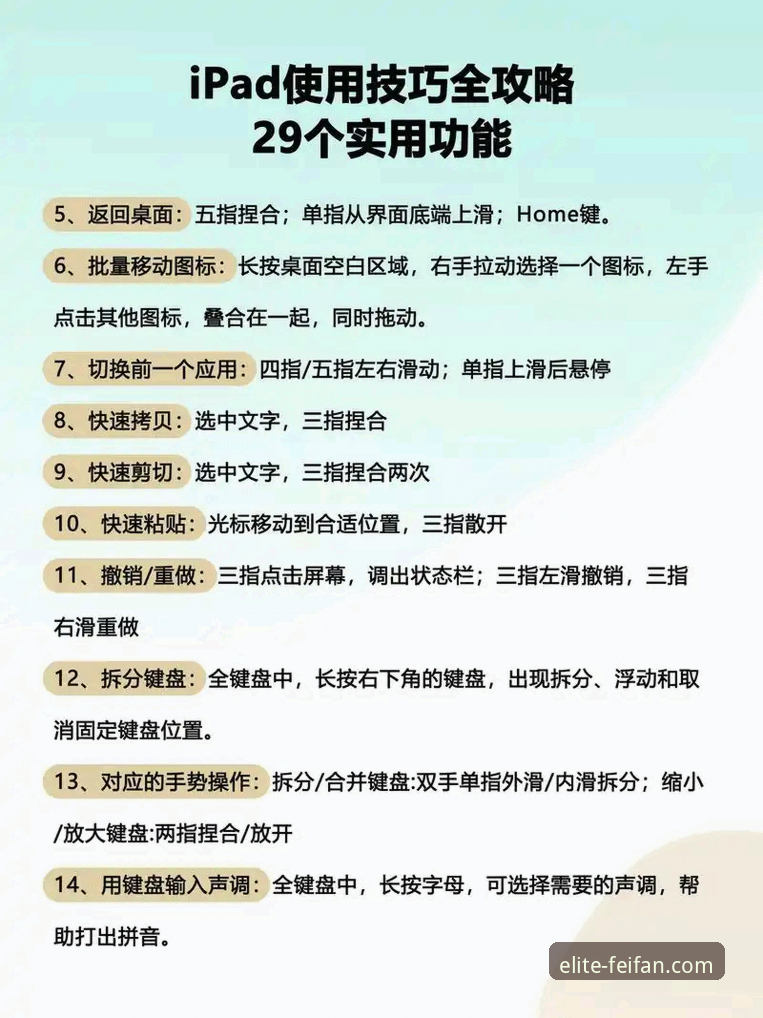 非凡体育流畅体验入门教程——新手安装与使用全攻略